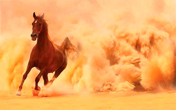 Caballo de Karabaj