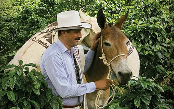 Juan Valdéz