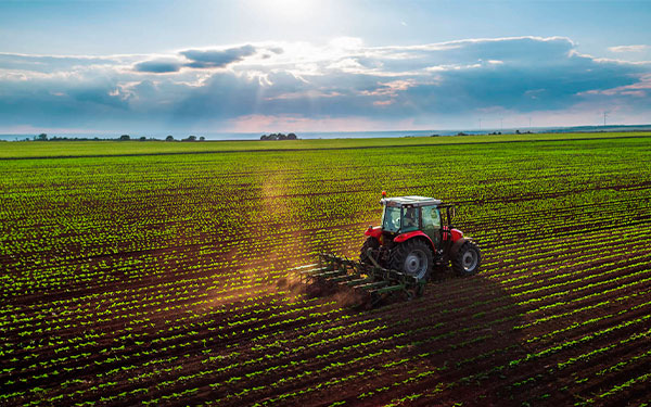 Foto tomada de Fegasacruz