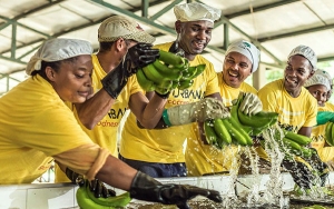 Unib&aacute;n solo hay una, pero la delincuencia utiliza la marca para defraudar