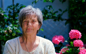 Solicitudes de pensi&oacute;n de sobrevivientes crece entre 40 y 50%