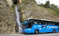 Transporte intermunicipal pierde m&aacute;s de $400.000 millones por informalidad
