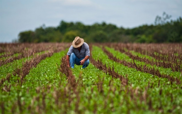 2017 pas&oacute; a la historia como el mejor a&ntilde;o en cr&eacute;dito agropecuario