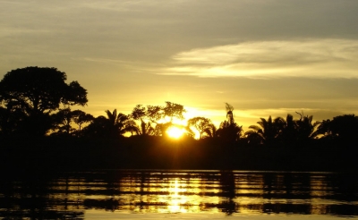 Cooperaci&oacute;n regional es cr&iacute;tica para el futuro de la Amazonia