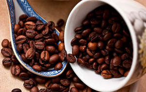 Colombia, lista para sembrar caf&eacute; robusta en Casanare y zonas c&aacute;lidas