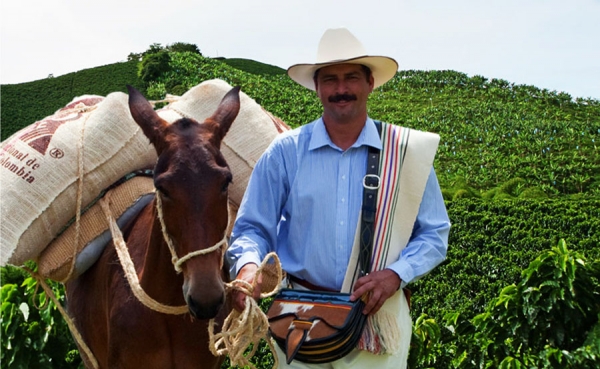 El caf&eacute; recuper&oacute; su protagonismo en la econom&iacute;a: V&eacute;lez