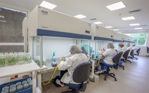 Campos experimentales de Cenipalma la fortaleza del sector palmero