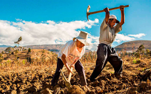 Corabastos, castigo, humillaci&oacute;n y sal de los productores rurales: Alcalde
