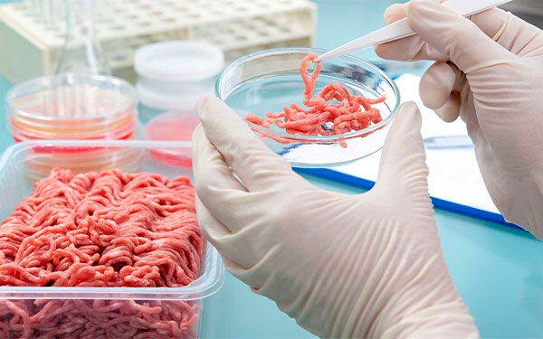 Paraguay rechaza propuesta de Bill Gates sobre carne sint&eacute;tica