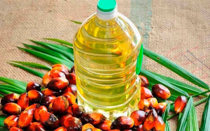 Rotundo &eacute;xito en Colombia Palmera 2024