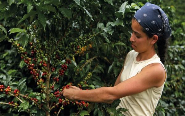 Mujer cafetera: Valerosa, trabajadora, heroica y vital