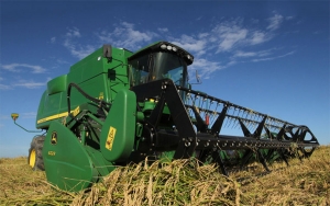 Industria molinera opt&oacute; por tener su &ldquo;arrocito en bajo&rdquo;