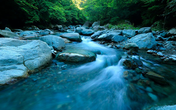Sector hidroel&eacute;ctrico pilar de la transici&oacute;n energ&eacute;tica