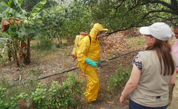 Solo an&aacute;lisis de riesgo determinan si fungicidas dan c&aacute;ncer