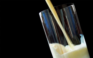 En enero industria import&oacute; 15.385 toneladas de leche en polvo y l&aacute;cteos