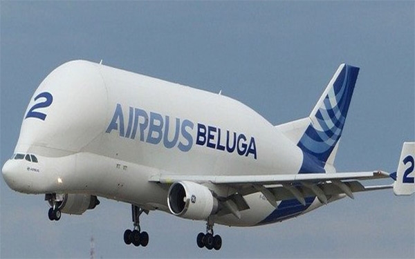 Biom&iacute;mesis: un nuevo enfoque de la innovaci&oacute;n aeron&aacute;utica