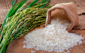 Arroceros en vilo, crece producci&oacute;n y caen inventarios