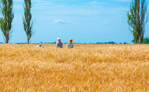 Comisionistas de Chicago prev&eacute;n alza en el precio de los alimentos