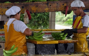 Augura le da la bienvenida al nuevo presidente de la SAC