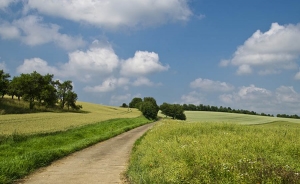 El campo necesita trabajo y no ayudas perversas: Delgado