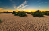 El Ni&ntilde;o: las decisiones tambi&eacute;n tienen su momento
