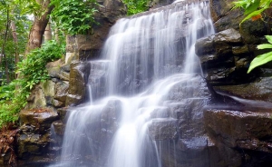 Pronostican  escasez de agua en varias zonas del mundo