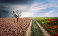 Finagro ha desembolsado cr&eacute;ditos en Sostenibilidad Clim&aacute;tica por $1,54 billones