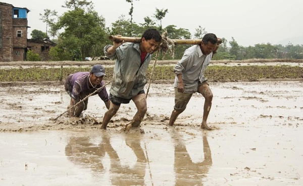 Trabajadores, m&aacute;s de 15 a&ntilde;os con la totuma en la mano: CUT
