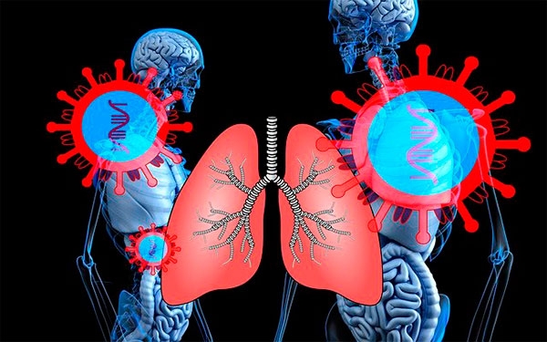 &iquest;Qu&eacute; ocurre en el cuerpo una vez que nos contagiamos de coronavirus?