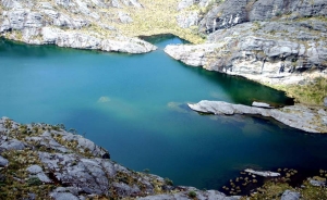 P&aacute;ramos de Colombia en expo Milano 2015