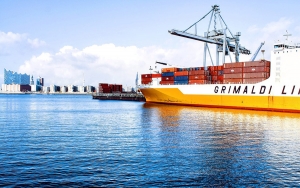 Lo mejor para el agro colombiano es que Trump anule el TLC