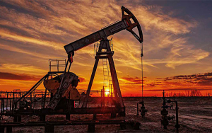 Ofertar el petr&oacute;leo criollo a USA