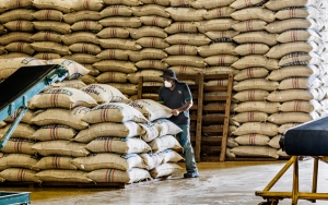 Almacaf&eacute;, un brazo log&iacute;stico que articula eficiencia en el pa&iacute;s cafetero