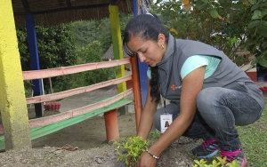 Inversi&oacute;n en territorios de posconflicto, la gran apuesta de Compensar