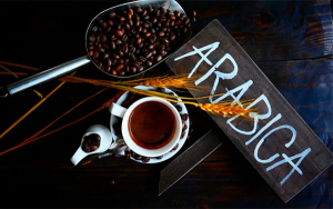 Caf&eacute; colombiano tras el sue&ntilde;o americano, prometedores cultivos en Florida