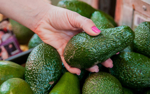 Bien 2025: Exportaciones de aguacate Hass siguen al alza en Colombia