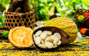 Por cooperaci&oacute;n restaurantes impulsan ingredientes de la selva amaz&oacute;nica