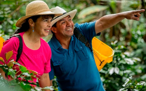 Todo listo para elecciones cafeteras, entusiasmo reina en Cundinamarca