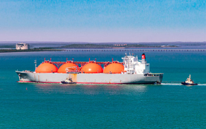 &iexcl;Las uvas est&aacute;n verdes!