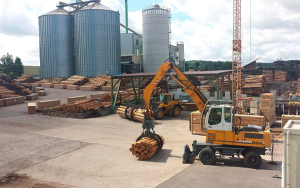 Urge nueva estrategia para impulsar bioeconom&iacute;a sustentable: Fedemaderas 