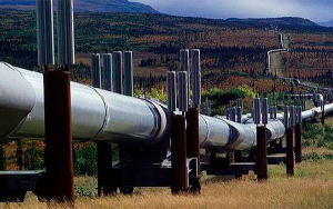 Turqu&iacute;a acoger&aacute; una cumbre internacional de gas en febrero