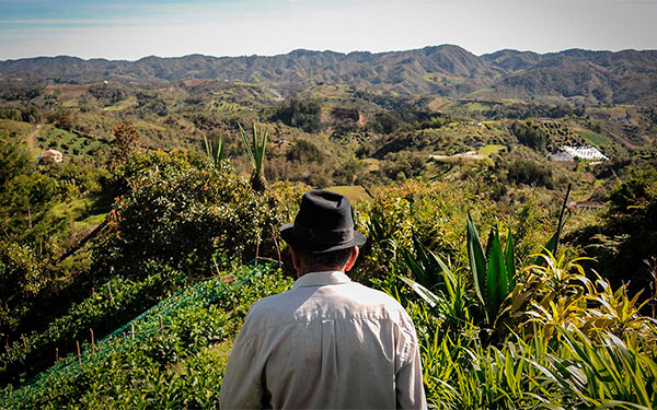 El campo no aguanta una desilusi&oacute;n m&aacute;s: Analistas y productores