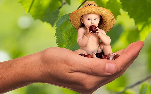 Colectivo de abogados pide ayudas humanitarias sin comida chatarra