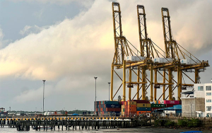 Importaciones del sector agropecuario crecen 4,7 % en febrero