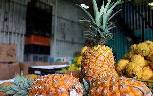 Junio, mes favorable para frutas, carne de cerdo y procesados
