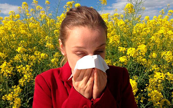 Siete millones de personas mueren anualmente por contaminación del aire