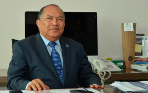 Escasez o especulación, esa es la cuestión