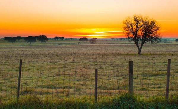 Lanzan proyecto de fortalecimiento agropecuario en el Meta