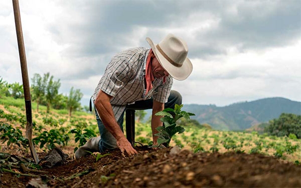Incre&iacute;ble, alimentos en las nubes y campesinos en el limbo