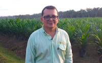 Palmas del Cesar: responsabilidad, innovaci&oacute;n, vida y compromiso con el suelo
